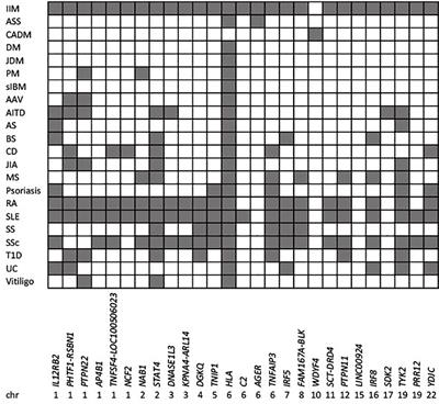 The Genetics of Autoimmune Myositis